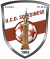 logo SOLESINESE